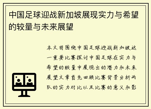 中国足球迎战新加坡展现实力与希望的较量与未来展望